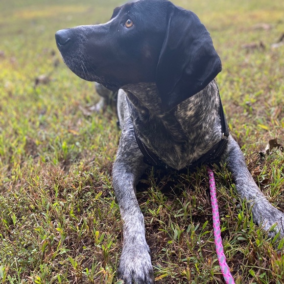 Meet your Posher, Shannon - Picture 13 of 15